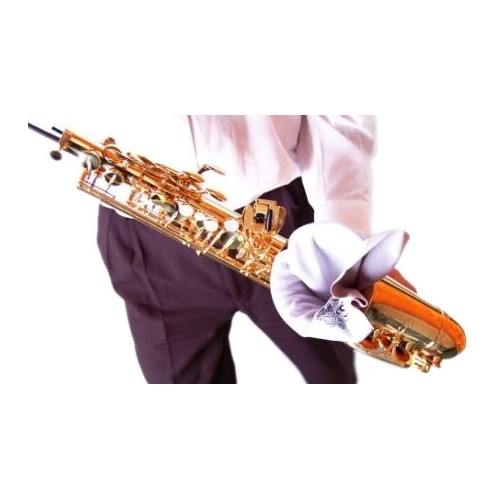 BG Microfibre Swab for Tenor Saxophone