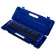 Hohner Fire Ocean Melodica